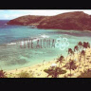 Meet your Posher, Terra